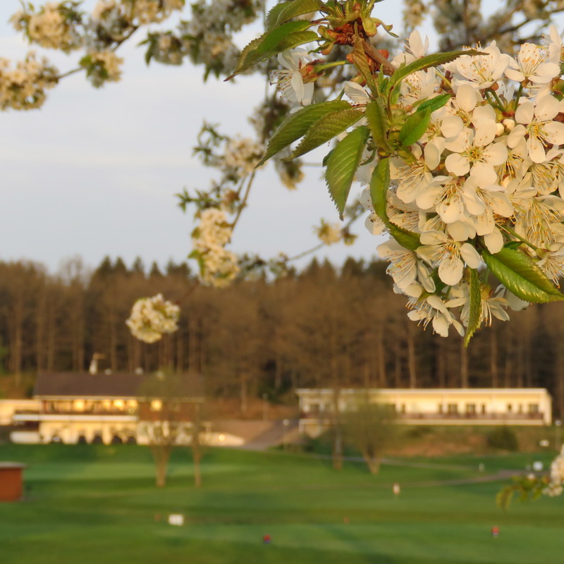 Kansliet stängt veckA 8