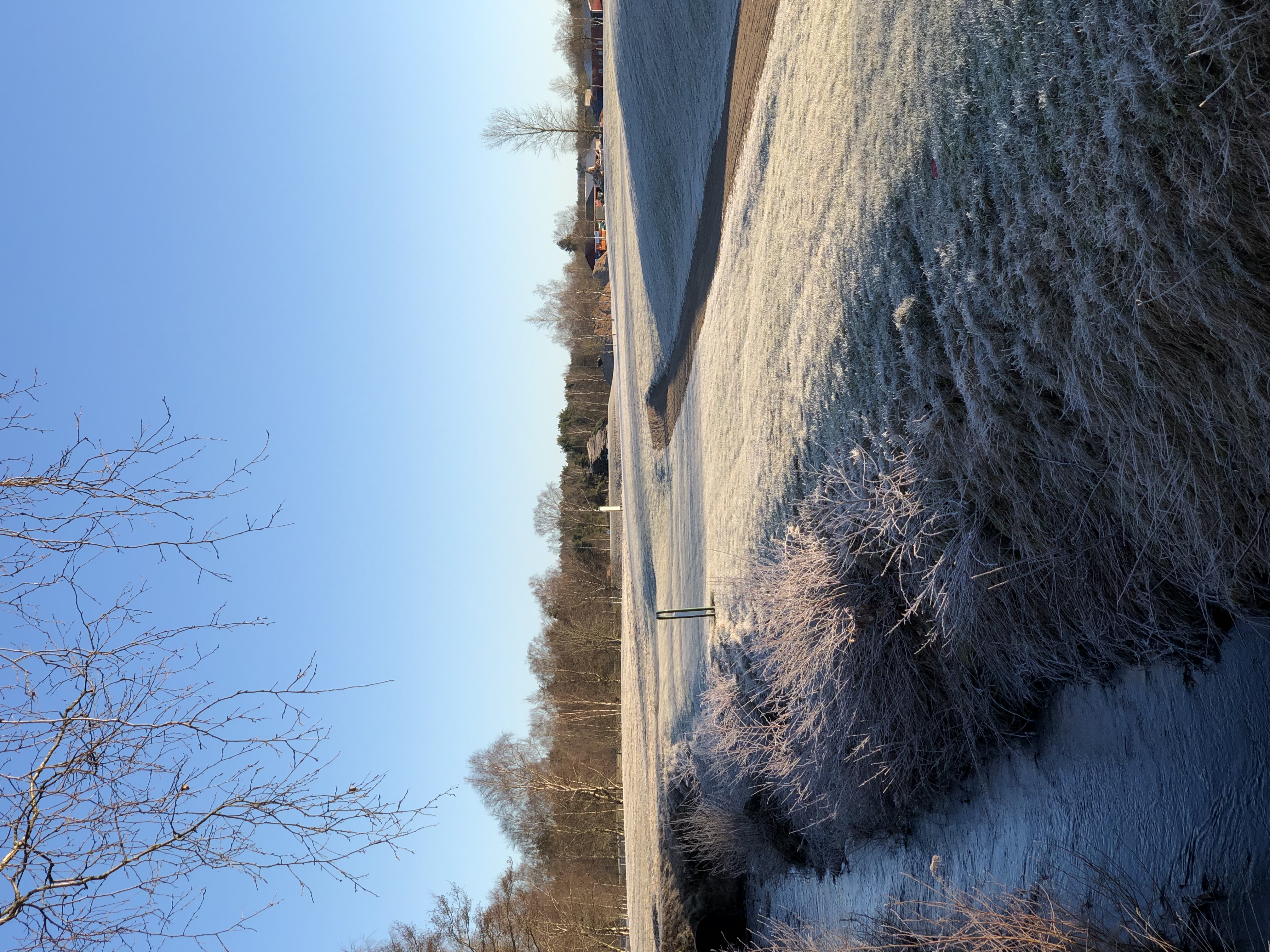 Frost 2