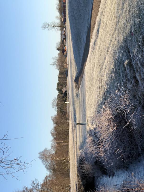 Frost 2